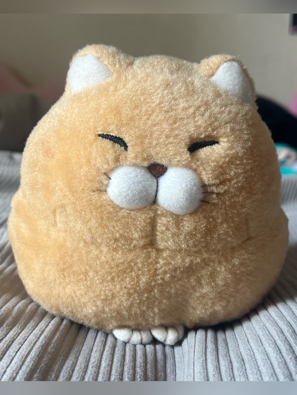 Orange Cat Plush
